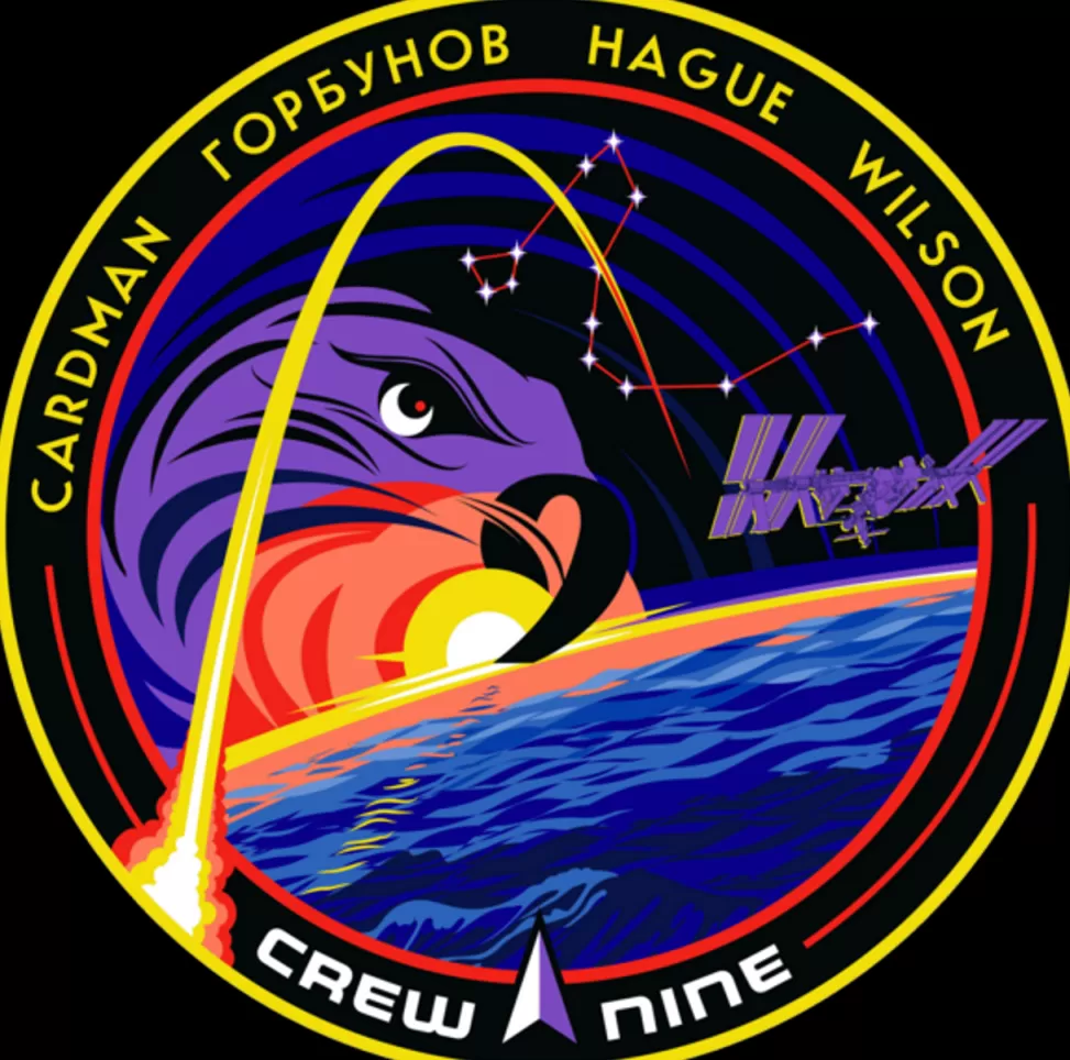 Best NASA Gear Crew 9 Mission Decal (Sticker)