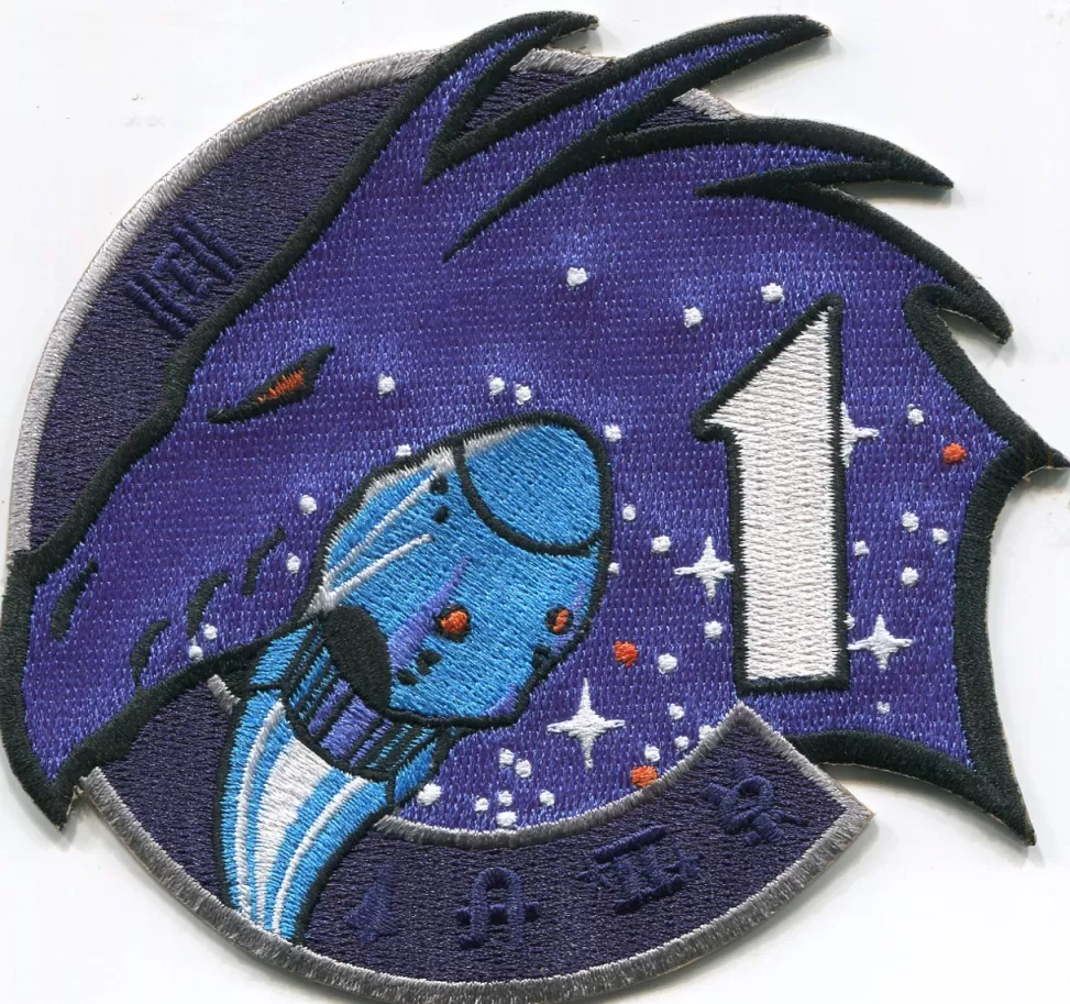 Sale NASA Gear Crew 1 Mission Patch