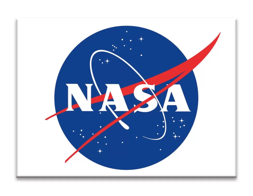 Online NASA Gear NASA Meatball Logo Flat Magnet