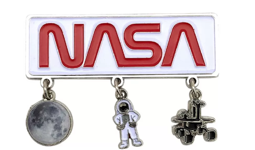 Discount NASA Gear NASA Worm Logo Red - Magnet with Dangling Charms